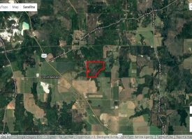 PRICE REDUCED! Hunting Plantation with lodge Crawford County, GA