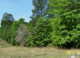 44 Acre Recreational/Hunting & Timber Tract