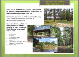 Home and Land For Sale in Telfair County PRICE REDUCED!