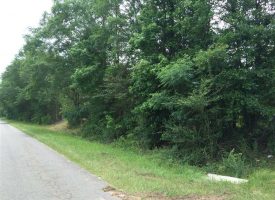 Hunting land with creek for sale near Oglethorpe in Macon County, GA