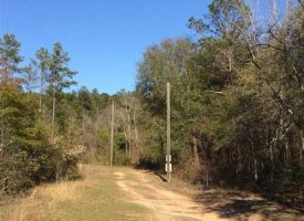 Exceptional small hunting tract with mobile lodge in Macon County, GA