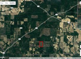Great GA hunting tract located at the Crisp and Dooly County line.