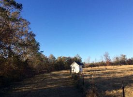 Fenced pastures, horse barn, and great hunting near Hawkinsville, GA.