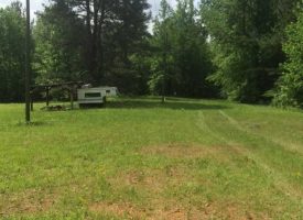 JUST REDUCED Nice hunting tract  available, Lamar Co., GA