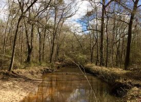 Great secluded tract on Big Indian Creek near Perry in Houston County, GA