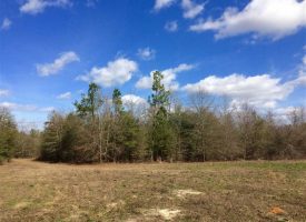 Great secluded tract on Big Indian Creek near Perry in Houston County, GA