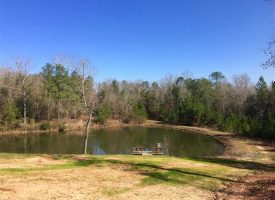 Sportsman’s Playground and Family Retreat in Macon County, GA