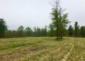 Timber, ag land, creek, ponds, and abundant wildlife near Hazelhurst, GA