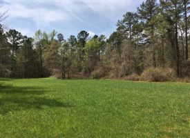 Exceptional tract 20 mi. west of Macon in Crawford Co. GA