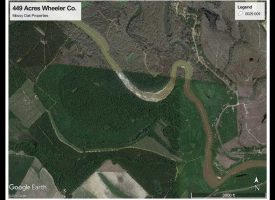 2 Mi. Oconee River Frontage, Big Timber, Great Hunting in Wheeler County, 
GA