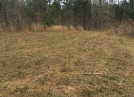 JUST REDUCED!. Endless possibilities in north Meriwether Co., GA.