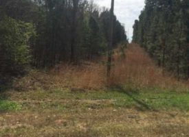 JUST REDUCED!. Endless possibilities in north Meriwether Co., GA.