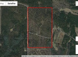 Secluded property with great hunting near Ellaville, Schley Co. GA