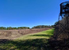Secluded hunting and fishing tract near Buena Vista, GA