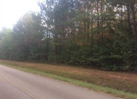 Great Pike County Location 18.49 Acres
