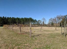 Mobile home, barns, timber, hay, and great hunting in Dooly County