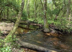 Creeks, Great Location & Hunting