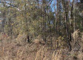 Prime Hunting and Recreational Tract