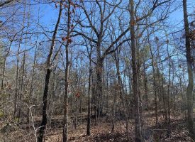 Prime Hunting and Recreational Tract
