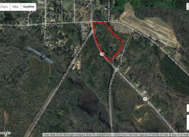 Wooded investment property located in Ideal, Macon Co., GA
