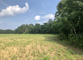 SOLD!! Home-site, fields & wooded