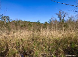 Ag land, hunting, & Rd frontage
