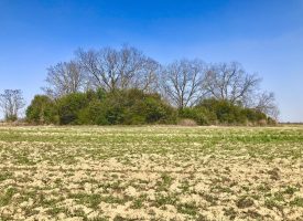 Ag land, hunting, & Rd frontage