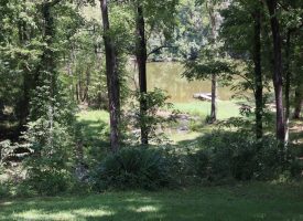 Home, pond, creek & acreage!