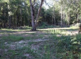 Acreage, Pond, Great Hunting!