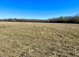 SOLD!! Income producing farm & hunting