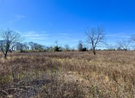 SOLD!! Income producing farm & hunting
