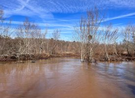 Great Duck Hunting and Fishing