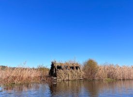 Great Duck Hunting and Fishing