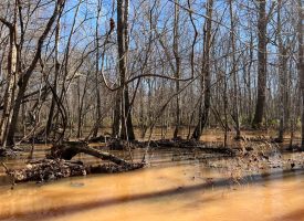 Great Duck Hunting and Fishing