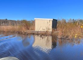 Great Duck Hunting and Fishing