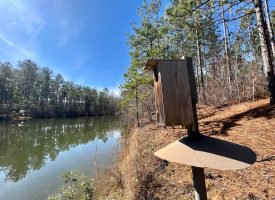 Hunting, ponds, timber, and mobile home