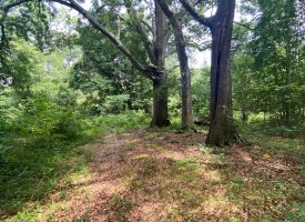 6.9 AC Lot, Investment Opportunity