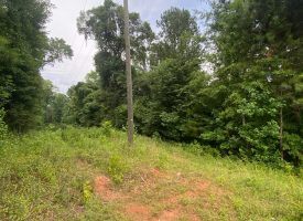 6.9 AC Lot, Investment Opportunity