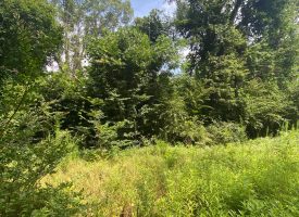 6.9 AC Lot, Investment Opportunity