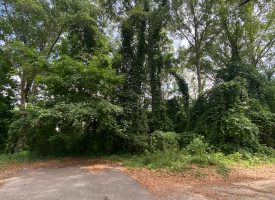 6.9 AC Lot, Investment Opportunity