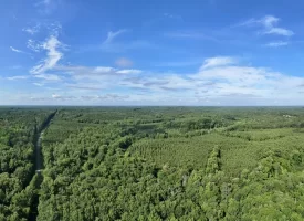 +/- 270 acres minutes from West Point Lake at Franklin Georgia for 1282500
