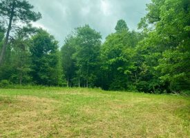 Hunting Land Minutes from West Point Lake