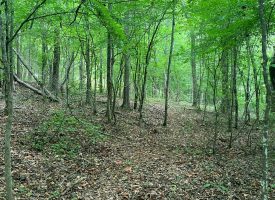 Hunting Land Minutes from West Point Lake