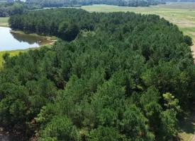 South Houston County Farm