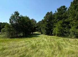 South Houston County Farm