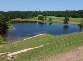 South Houston County Farm at 0 Scott Road for 1295000