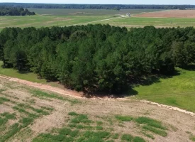 South Houston County Farm