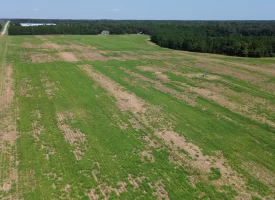 South Houston County Farm