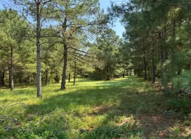 South Houston County Farm