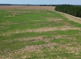 South Houston County Farm